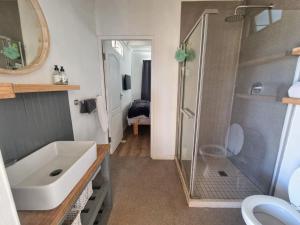 a bathroom with a shower and a sink and a toilet at Slow Track Farm in Baardskeerdersbos