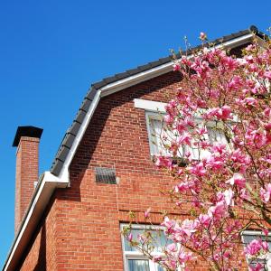 een bakstenen gebouw met een bloeiende boom ervoor bij Ensche-Day Inn in Enschede