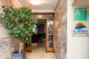Zdjęcie z galerii obiektu Apartamentos El Moro w mieście San Antonio