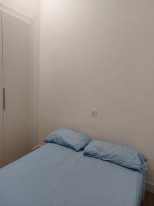 a bed with two blue pillows in a room at Habitación en Madrid in Madrid