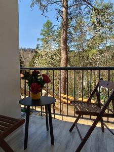 Balkon lub taras w obiekcie Viking Rożnów