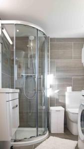 ein Bad mit einer Dusche und einem WC in der Unterkunft Gemütliches Cottage mit Meerblick in Ballydehob