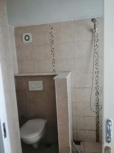 a small bathroom with a toilet and a shower at Safari Suit Studyo N-16 in Side
