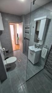een badkamer met een wastafel, een toilet en een douche bij Apartman Centar Bečej in Bečej