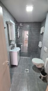 een badkamer met een wastafel en een toilet bij Apartman Centar Bečej in Bečej