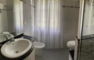 W łazience znajduje się umywalka, toaleta i prysznic. w obiekcie B&B Alvi w mieście Fertilia
