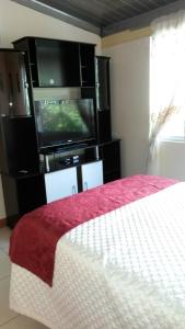 TV a/nebo společenská místnost v ubytování Hostal el Parque Tababela