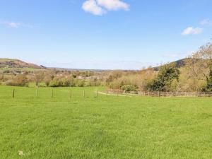 a field of green grass with a fence in the background at Swinside in Cockermouth