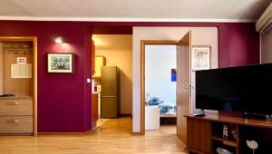 Et tv og/eller underholdning på Apartman Josip