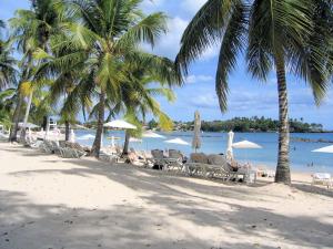a group of chairs and umbrellas on a beach at Suites By SalcedO in Santo Domingo
