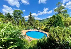 a swimming pool in the middle of a garden at Pension Imlauf in Vrchlabí