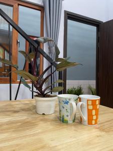 two coffee cups sitting on a table with a potted plant at VANIA HOUSE - cozy studio near the airport in Ho Chi Minh City +12 photos
