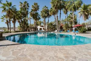 a large swimming pool with palm trees in the background at Hotel Rancho Buenavista in Los Barriles