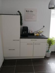A kitchen or kitchenette at Apartment Wigo