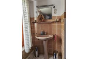 a bathroom with a sink and a mirror at Ferienwohnung Hasenlodde in Loddin