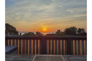 a teddy bear sitting on top of a wooden deck with the sunset at Ferienwohnung Hasenlodde in Loddin
