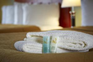 Afbeelding uit fotogalerij van Quality Inn Southampton in Southampton