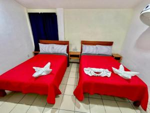 Postel nebo postele na pokoji v ubytování Orquídeas Hotel