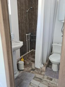 a bathroom with a toilet and a sink and a shower at Holiday Village in Eforie Nord +33 photos