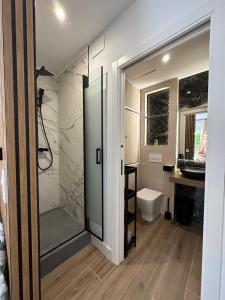 a bathroom with a shower and a toilet at Casa Secunda Romar in Córdoba