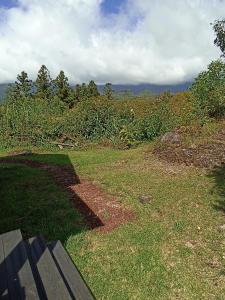 a bench sitting on top of a field of grass at Chalet scandinave in La Plaine des Palmistes