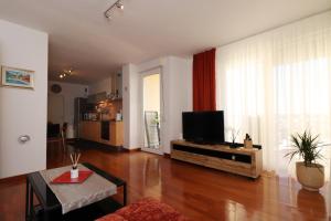 TV a/nebo společenská místnost v ubytování Apartment Bella Vista