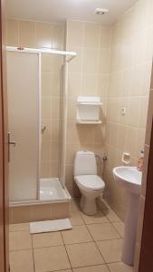 a bathroom with a toilet and a shower and a sink at Wille Amber in Mielno