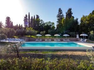 une piscine avec des chaises et des parasols dans un jardin dans l'établissement Agriturismo La Collina degli Olivi, à Certaldo