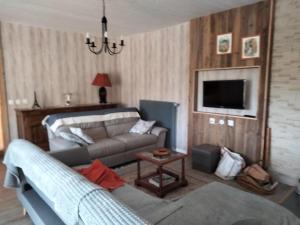 a living room with a couch and a tv at Gîte du Bachat in Vorey