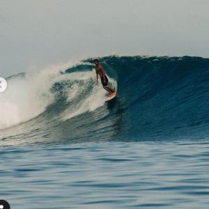 un homme faisant une vague sur une planche de surf dans l'océan dans l'établissement Mentawai Bagus Local Homestay, à Tua Pejat