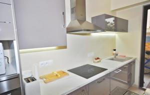 Kitchen o kitchenette sa 1 Bedroom Awesome Apartment In Le Cannet