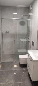 a bathroom with a shower and a toilet and a sink at Apartament Świdnica in Świdnica +23 photos