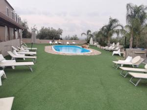 - un groupe de chaises longues et une piscine dans l'établissement Etnadia, à Santa Maria di Licodia