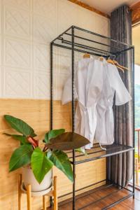 a glass shelf with white shirts and a plant at Sky Pruek Cumulus in Mon Jam