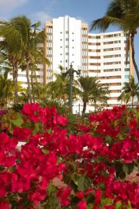 Afbeelding uit fotogalerij van Condominio Carabelas de Colón in Playas