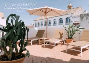 un patio con sillas, sombrilla y cactus en Boutike Apartments, en Sevilla