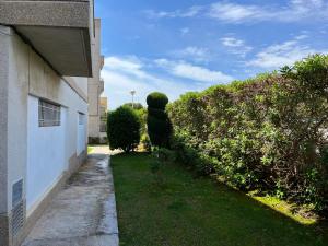 Fotografie z fotogalerie ubytování Vila del far v destinaci Sant Carles de la Ràpita