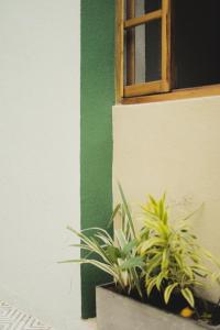 Fotografie z fotogalerie ubytování La Casa del Totumo v destinaci Santa Marta