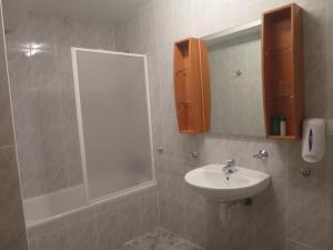 a bathroom with a sink and a shower and a mirror at Posada de Oitz in Oiz