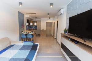 a living room with a large flat screen tv at CRVN4 #terrace #freeparking in Budapest