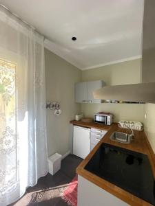 una piccola cucina con lavandino e forno a microonde di Lefkas Marine Apartment a Città di Lefkada