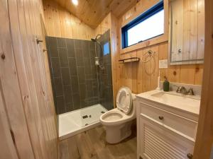 a bathroom with a toilet and a shower and a sink at Vermont Scandinavian Chalet-Brévent in Wolcott