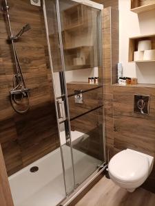 a bathroom with a shower and a toilet at Apartament Green Hill in Szklarska Poręba