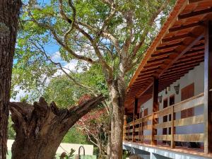 un arbre devant un bâtiment dans l'établissement Pousada Alto Itaipava, à Itaipava