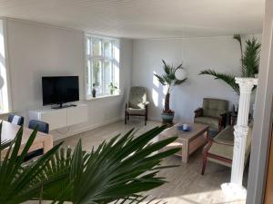 ein Wohnzimmer mit einem Flachbild-TV und einem Sofa in der Unterkunft Idyllic country house in Vadum