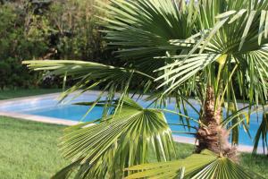 Bazén v ubytovaní Mas Les Romarins, 10 min d'Uzès, piscine et grand jardin clos, jeux, nid de repos et base pour activités dans le Gard alebo v jeho blízkosti