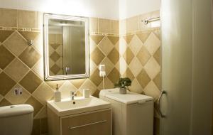 a bathroom with a sink and a toilet and a mirror at Helia Apartment 1 in Alepou