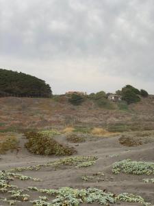 Fotografie z fotogalerie ubytování Liborio de Mar v destinaci Cáhuil