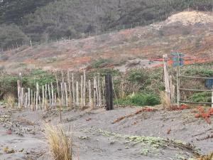 Fotografie z fotogalerie ubytování Liborio de Mar v destinaci Cáhuil