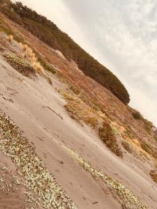 Fotografie z fotogalerie ubytování Liborio de Mar v destinaci Cáhuil